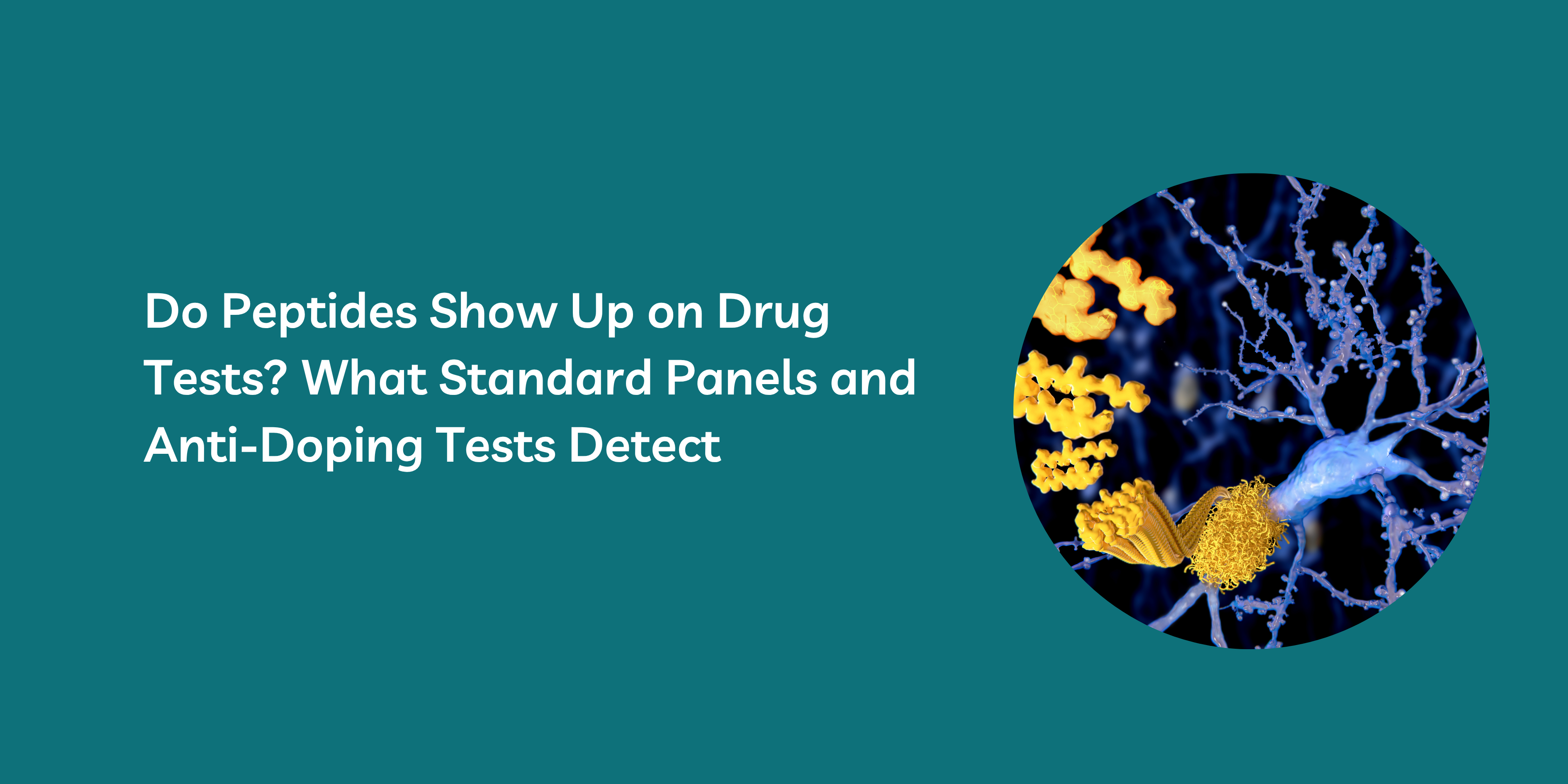 Do Peptides Show Up on Drug Tests? What Standard Panels and Anti-Doping Tests Detect